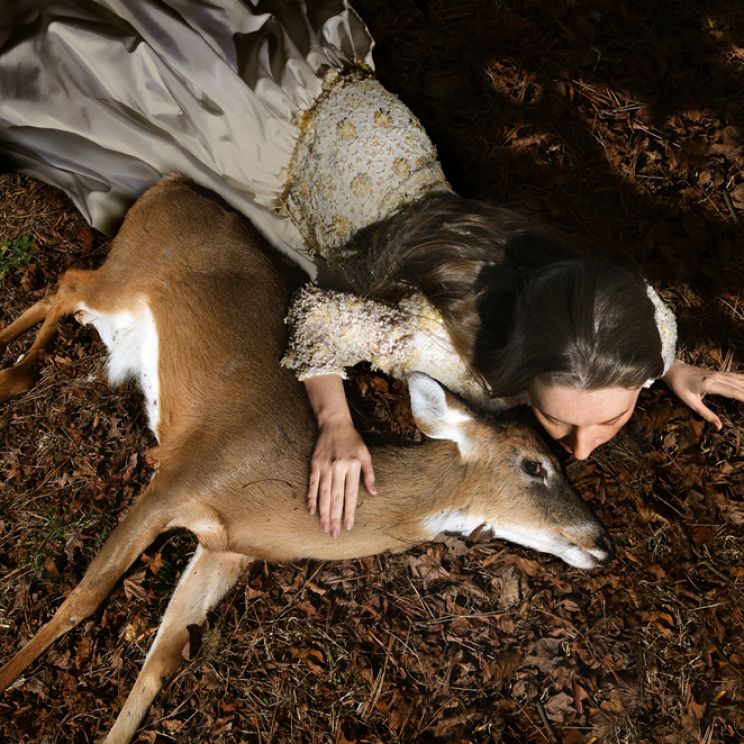 Tom Chambers