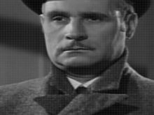 Tom D'Andrea