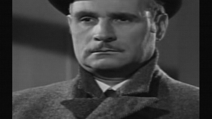 Tom D'Andrea