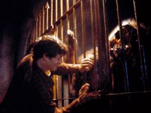 Tom Everett