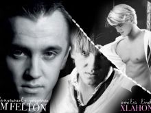 Tom Felton