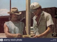 Tom Gries