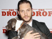 Tom Hardy photo