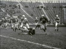 Tom Harmon #3004095 picture (Landscape Medium)
