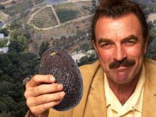 Tom Selleck