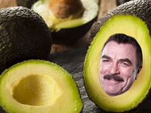 Tom Selleck