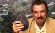 Tom Selleck