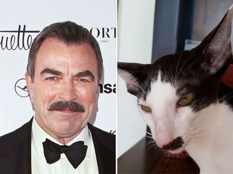 Tom Selleck