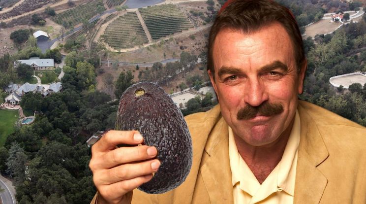 Tom Selleck