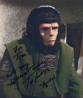 Tom Troupe