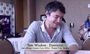 Tom Wisdom