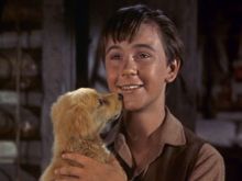 Tommy Kirk