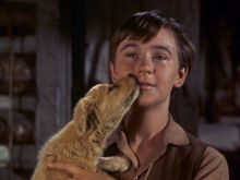 Tommy Kirk