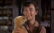 Tommy Kirk