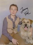 Tommy Kirk