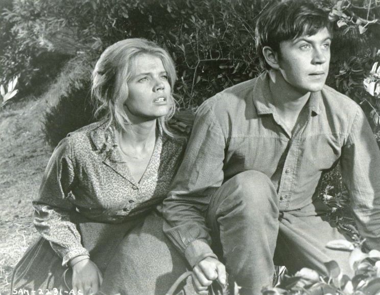 Tommy Kirk