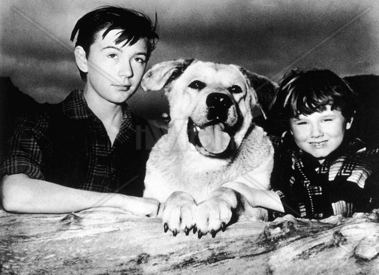 Tommy Kirk