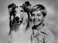 Tommy Rettig