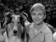 Tommy Rettig