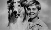 Tommy Rettig