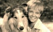 Tommy Rettig