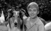 Tommy Rettig