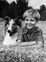 Tommy Rettig