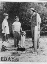 Tommy Rettig #1224202 picture (Portrait Medium)