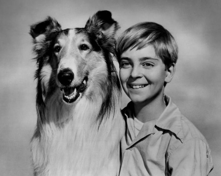 Tommy Rettig