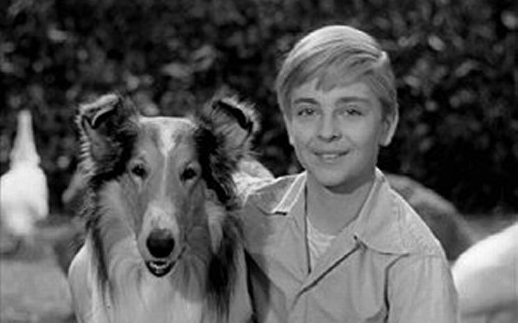 Tommy Rettig