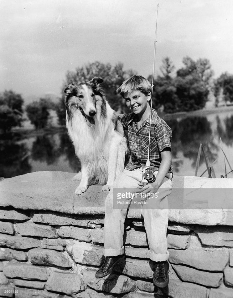 Tommy Rettig