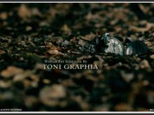 Toni Graphia