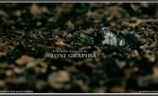 Toni Graphia