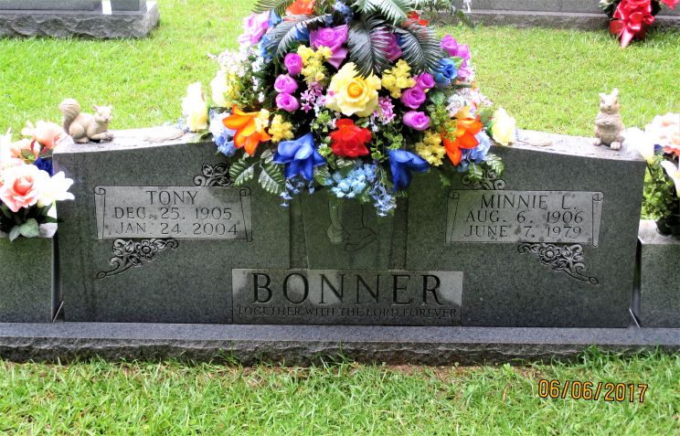 Tony Bonner