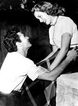 Tony Curtis #337159 picture (Portrait Medium)