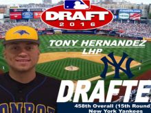 Tony Hernandez