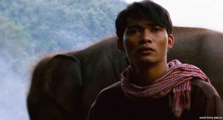 Tony Jaa