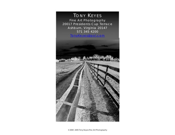 Tony Keyes