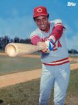 Tony Perez