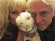Toyah Willcox #1832173 picture (Landscape Medium)