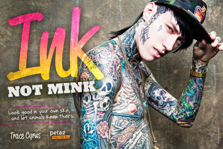 Trace Cyrus