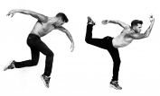 Travis Wall