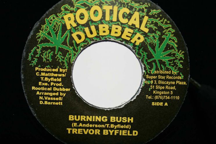 Trevor Byfield