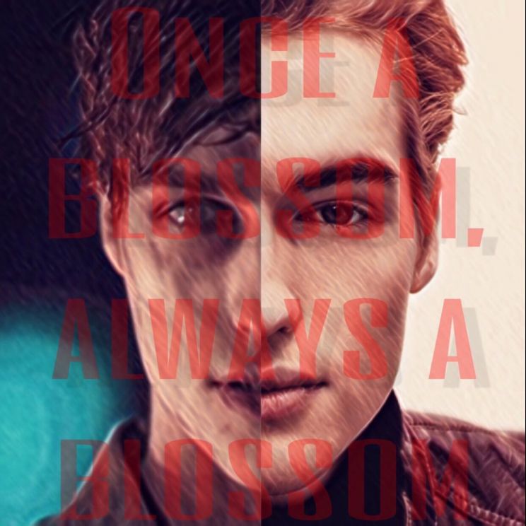 Trevor Stines