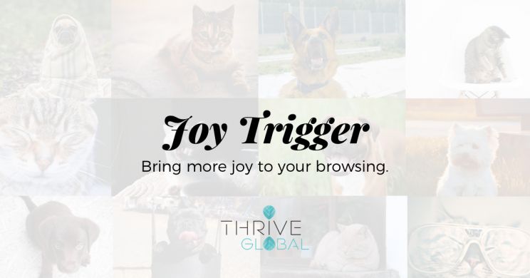 Trigger