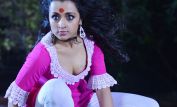 Trisha Krishnan