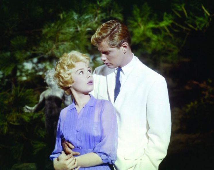 Troy Donahue