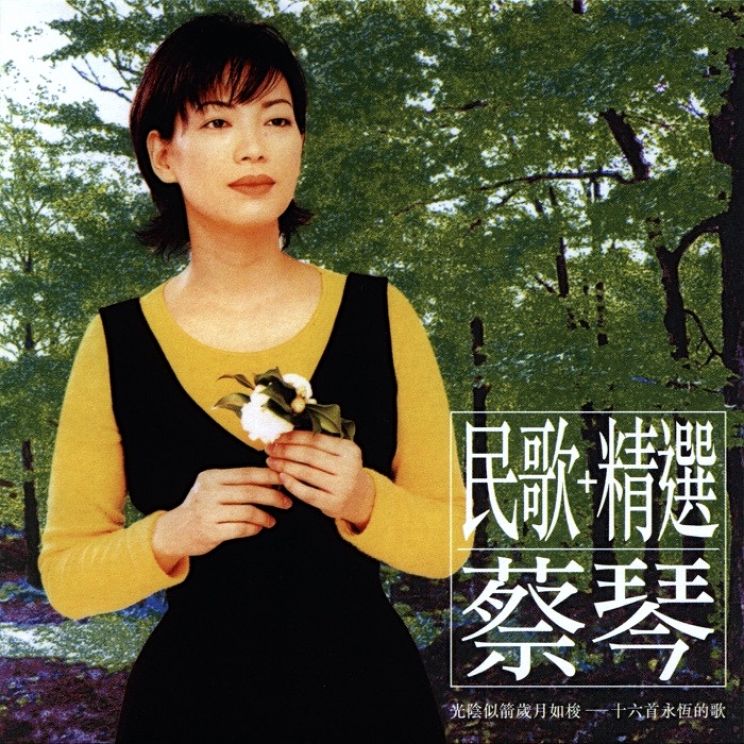 Tsai Chin