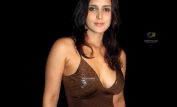 Tulip Joshi