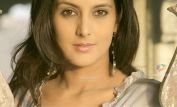 Tulip Joshi